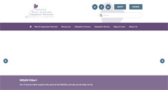 Desktop Screenshot of ndsan.org